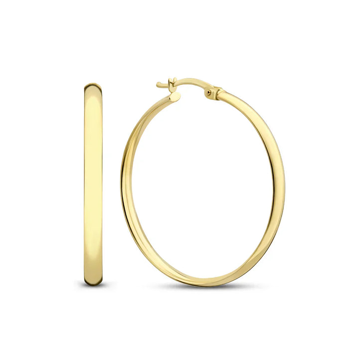 Chic Gold Noa Serane Earrings