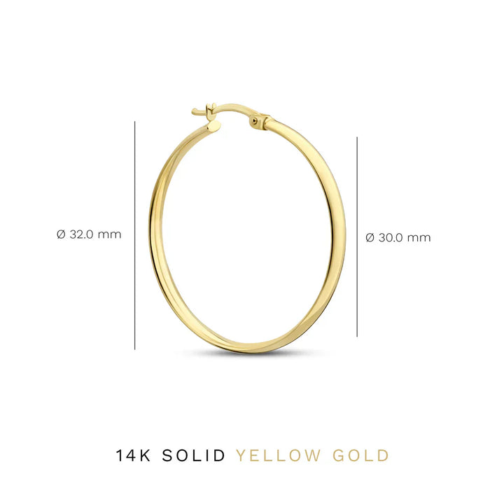 Chic Gold Noa Serane Earrings