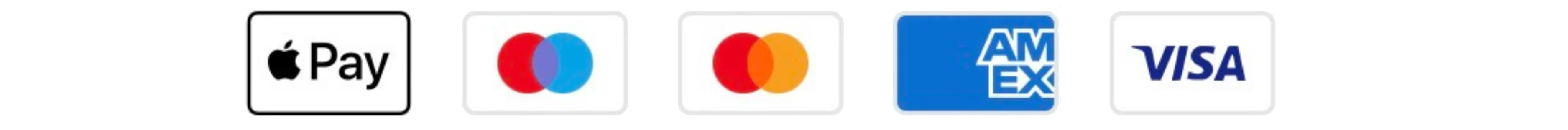 Apple Pay, Maestro, Mastercard, American Express, Visa